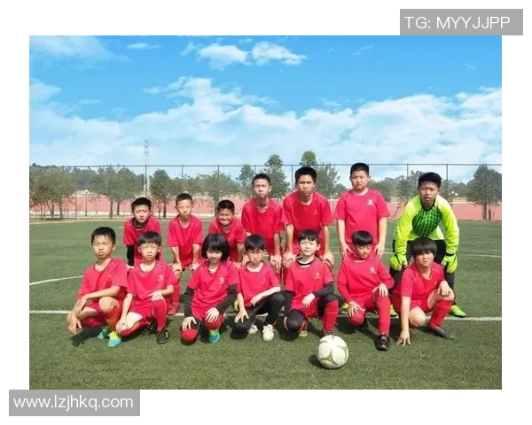 足球明星数量调查分析及其对青少年足球发展的影响研究